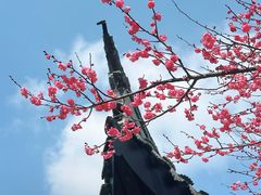 -木子山庄·安徽省老字号·中国炖锅宴