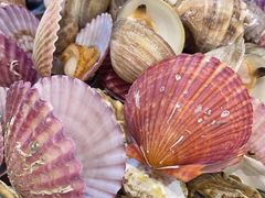 -和源祥·日照菜扛把子(万平口一店)