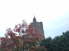 -普林斯顿大学