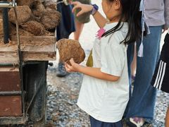 -大象粑粑造纸公园