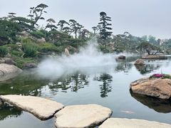 -罗红摄影艺术馆