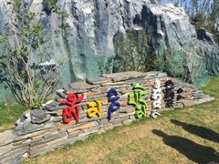 -武清南湖绿博园