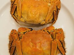 -凤凰楼酒家·粤宴点心(华强北店)