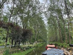 -合肥滨湖国家森林公园