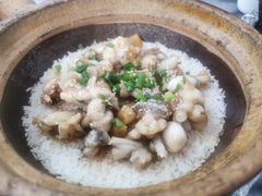-红星光发煲仔饭(大石街店)