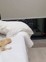 -智美品质医美