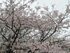 -南山植物园