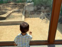 -石家庄市动物园