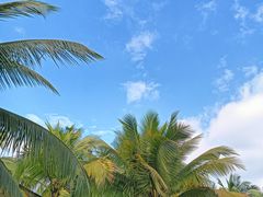 -海南文笔峰盘古文化旅游区