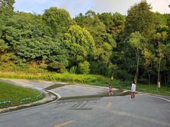 -铁山坪森林公园