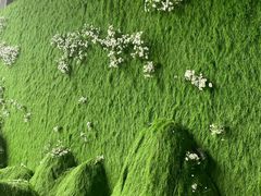 -小米之家(渝中龙湖时代天街店)