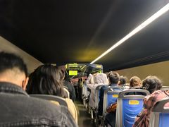 -Big Bus Tours 敞篷观光巴士