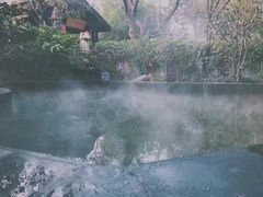 -西安国际创新人才交流中心•药浴温泉