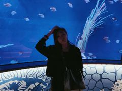 -沈阳海洋探索中心