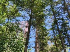 -吊水壶国家森林公园