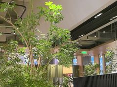 -gaga(深圳福田星河COCO Park店)