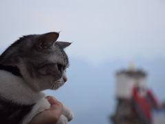 -塔云山