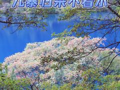 -九寨沟风景区