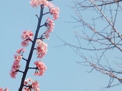 -静安雕塑公园