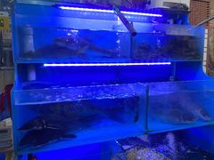 -韩妹鱼庄·泸定老字号(泸定店)