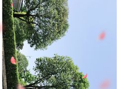 -秦始皇帝陵博物院(兵马俑)