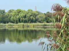 -北坞公园