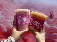 -南澳岛打卡果汁冰公司