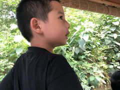 -摇橹船上船码头