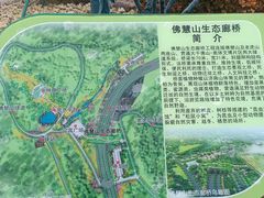 -佛慧山
