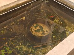 -漪龙台·B26 Rooftop Lounge