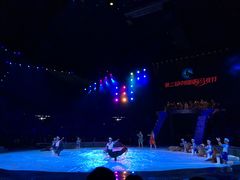 -珠海横琴长隆《卡卡虎奇遇记》