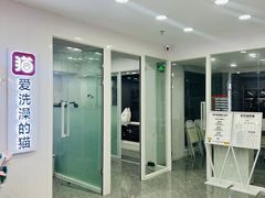 -爱洗澡的猫(望京店)