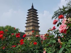 -正定古城-开元寺