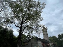 -荔枝红五号农庄