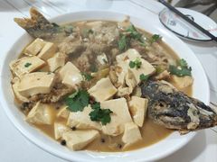 狗鱼一鱼两吃-煲来饱去冷水鱼