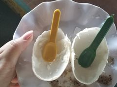 -洞里萨湖