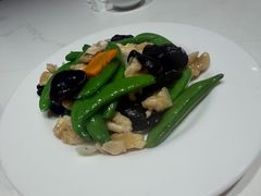 -凯鸽酒楼(操场城店)