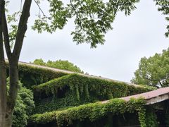 -中国茶叶博物馆(双峰馆区)