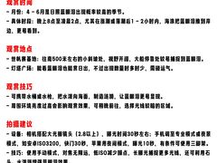 -日照灯塔风景区