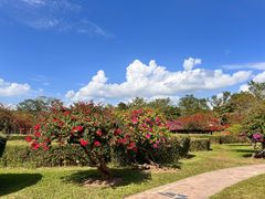 -中国科学院西双版纳热带植物园