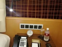 -新加坡文华东方酒店