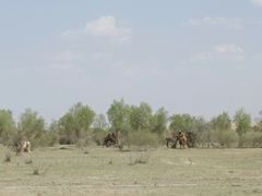 -亿利库布其七星湖沙漠生态旅游区