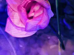 -章丘宴(唐人中心店)