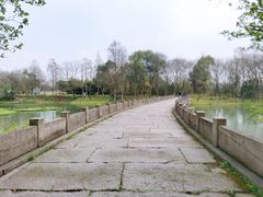 -西溪国家湿地公园