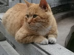 -宝通禅寺