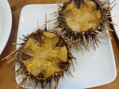 -海胆小馆(东北水饺·春柳店)