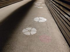 -昆山城市生态森林公园