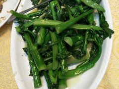 -联邦酒楼