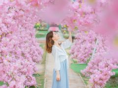 景点-盈香心动乐园