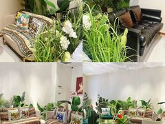 -友谊阳光城